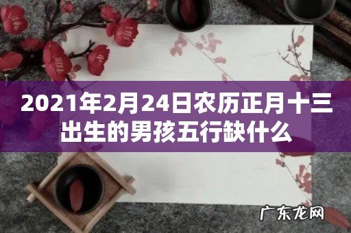 2021年2月24日农历正月十三出生的男孩五行缺什么