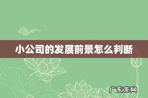 小公司的发展前景怎么判断