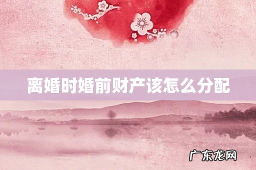 离婚时婚前财产该怎么分配
