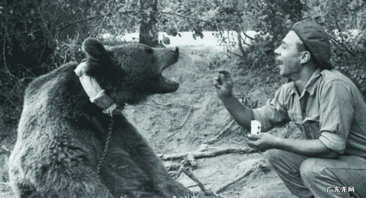 三只熊的故事主要内容 三只熊的故事是什么意思