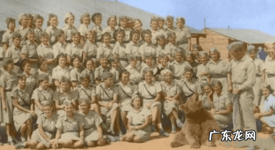 三只熊的故事主要内容 三只熊的故事是什么意思