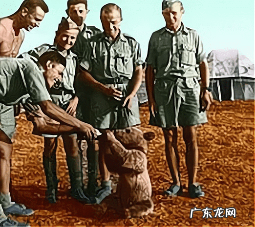 三只熊的故事主要内容 三只熊的故事是什么意思