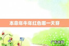本命年牛年红色哪一天穿