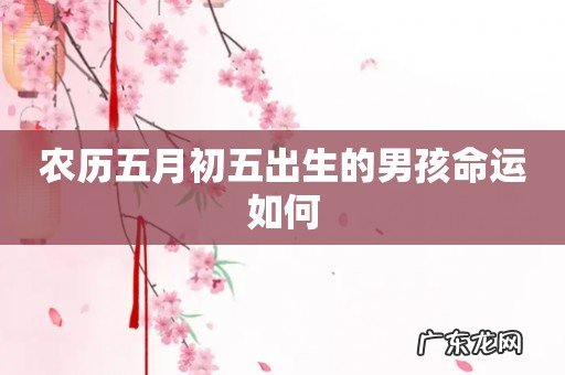 农历五月初五出生的男孩命运如何