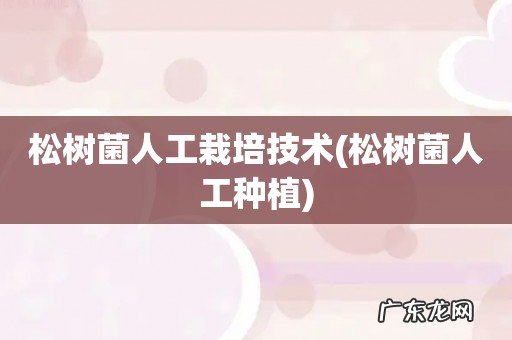 松树菌人工种植 松树菌人工栽培技术