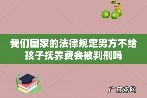 我们国家的法律规定男方不给孩子抚养费会被判刑吗