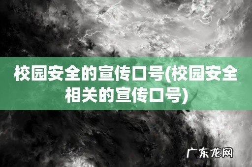 校园安全相关的宣传口号 校园安全的宣传口号