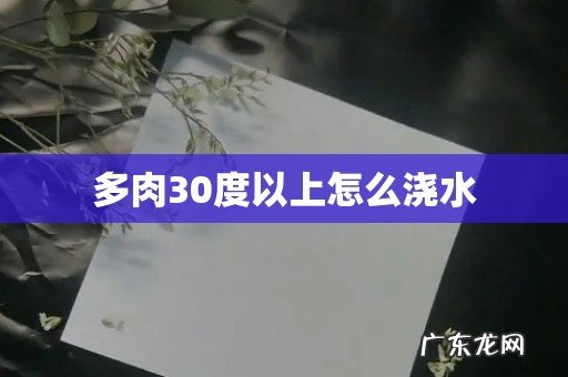 多肉30度以上怎么浇水