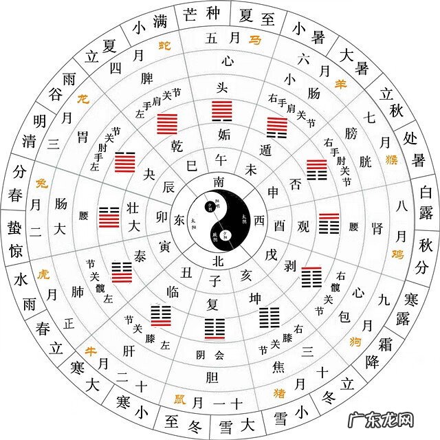 工程学哪个分支好 风水学中的分支是什么