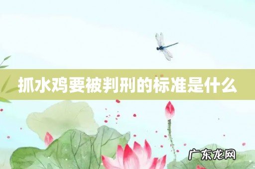 抓水鸡要被判刑的标准是什么