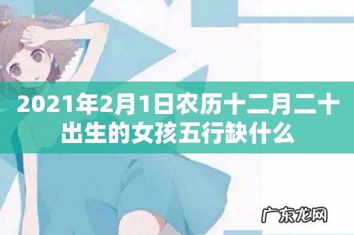 2021年2月1日农历十二月二十出生的女孩五行缺什么