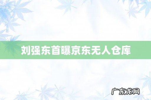 刘强东首曝京东无人仓库