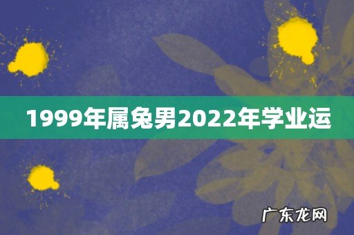 1999年属兔男2022年学业运