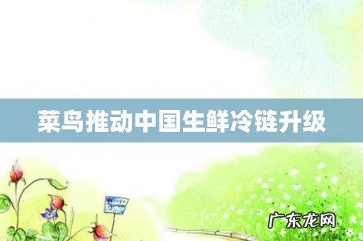 菜鸟推动中国生鲜冷链升级