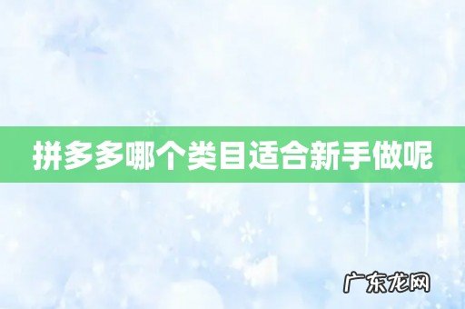 拼多多哪个类目适合新手做呢