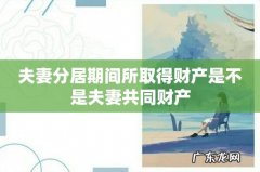 夫妻分居期间所取得财产是不是夫妻共同财产