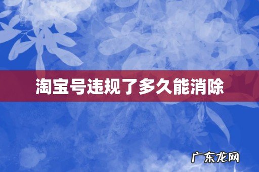 淘宝号违规了多久能消除