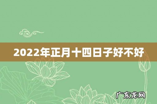 2022年正月十四日子好不好