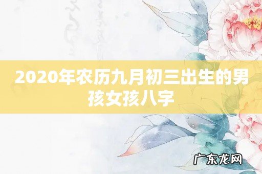 2020年农历九月初三出生的男孩女孩八字
