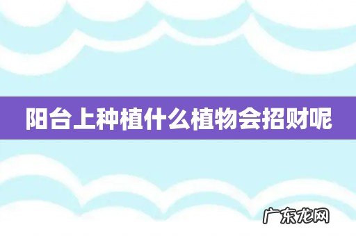 阳台上种植什么植物会招财呢