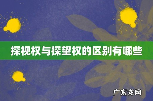 探视权与探望权的区别有哪些