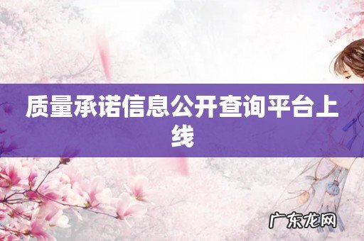质量承诺信息公开查询平台上线