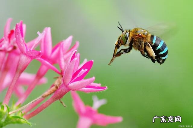 什么的童年作文 童年的作文开头和结尾