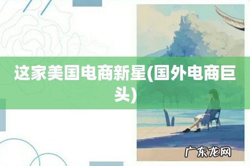 国外电商巨头 这家美国电商新星
