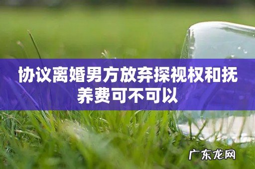 协议离婚男方放弃探视权和抚养费可不可以