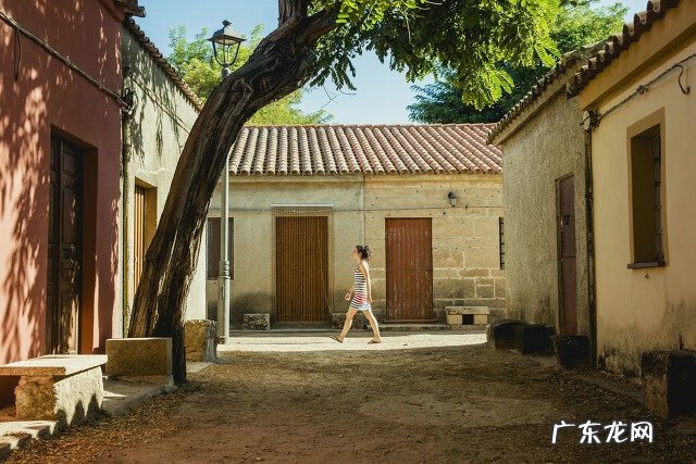 桑树的风水作用 桑树有风水之喜