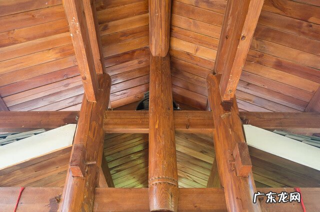 桑树的风水作用 桑树有风水之喜