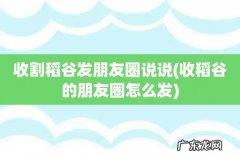 收稻谷的朋友圈怎么发 收割稻谷发朋友圈说说