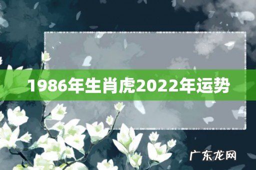 1986年生肖虎2022年运势