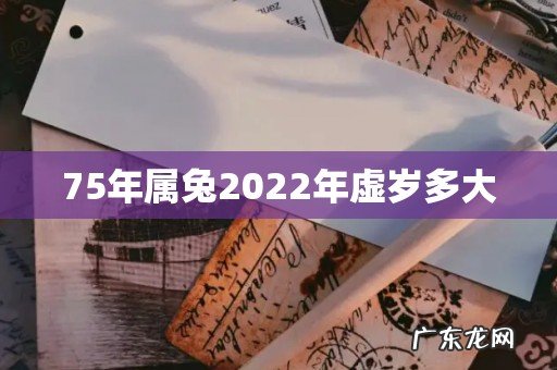 75年属兔2022年虚岁多大