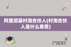 村淘合伙人是什么意思 阿里招募村淘合伙人