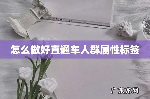 怎么做好直通车人群属性标签