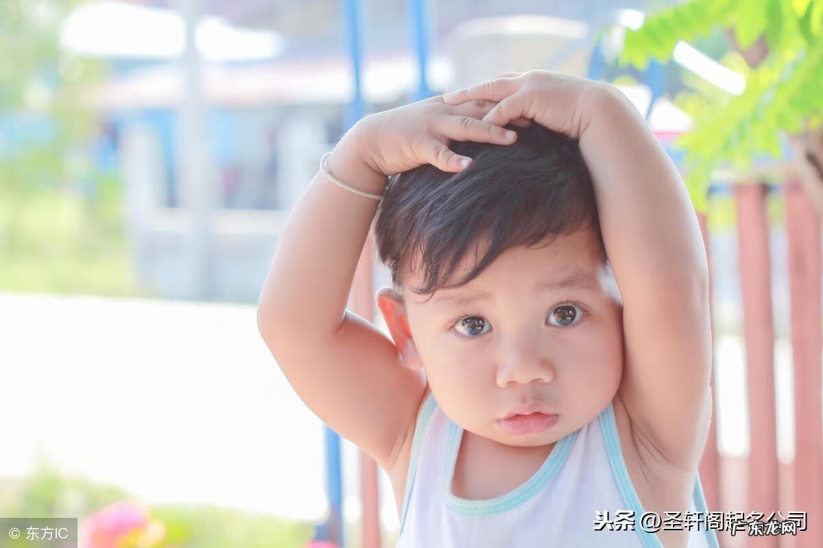 好听又有诗意的名字 诗意取名