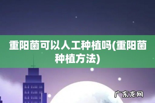 重阳菌种植方法 重阳菌可以人工种植吗