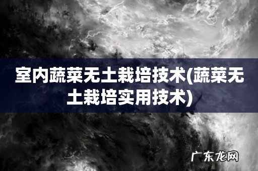 蔬菜无土栽培实用技术 室内蔬菜无土栽培技术