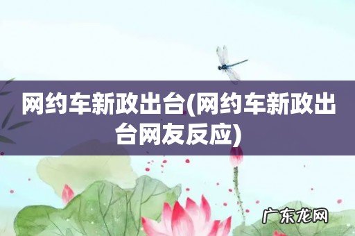 网约车新政出台网友反应 网约车新政出台