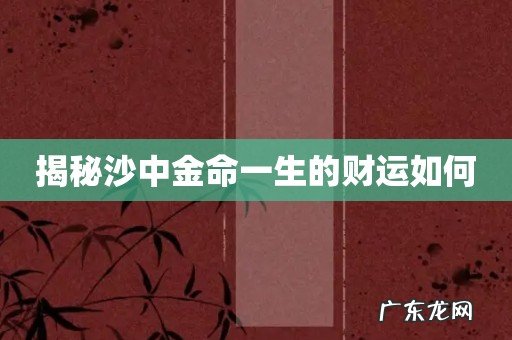 揭秘沙中金命一生的财运如何
