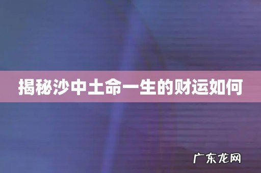 揭秘沙中土命一生的财运如何
