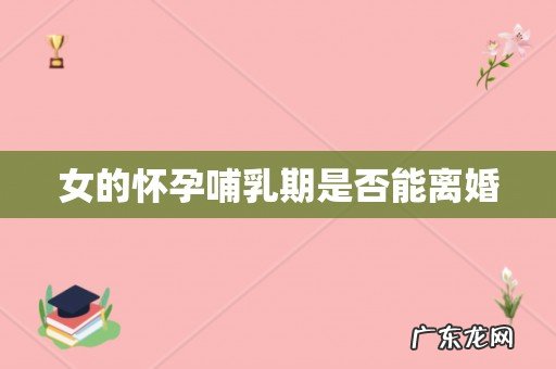 女的怀孕哺乳期是否能离婚
