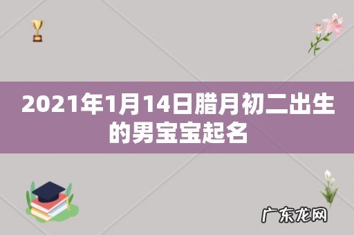 2021年1月14日腊月初二出生的男宝宝起名