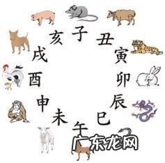 风水中天干相冲表示什么