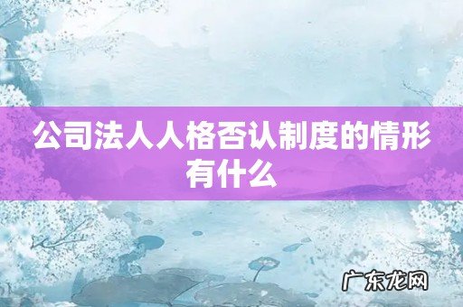 公司法人人格否认制度的情形有什么