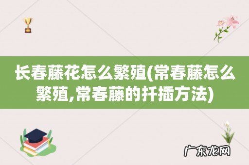 常春藤怎么繁殖,常春藤的扦插方法 长春藤花怎么繁殖