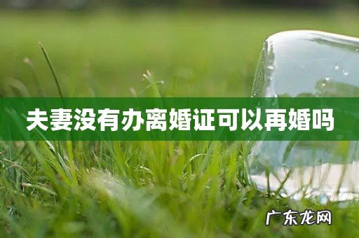 夫妻没有办离婚证可以再婚吗