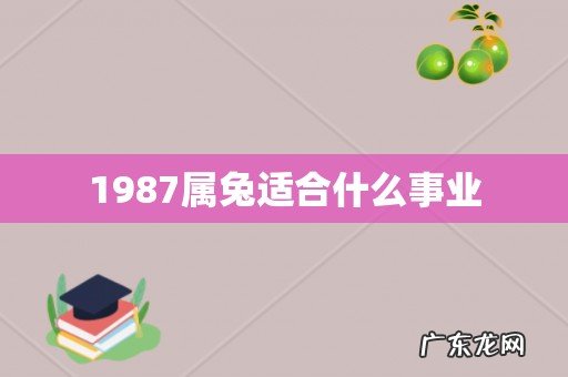 1987属兔适合什么事业