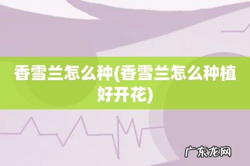 香雪兰怎么种植好开花 香雪兰怎么种
